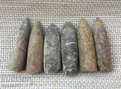 natural marine fossils with price 99.99 BGN | € 51.12 natural marine fossils with price 99.99 BGN | € 51.12