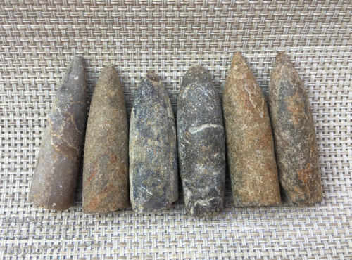 Auction natural marine fossils Auction natural marine fossils