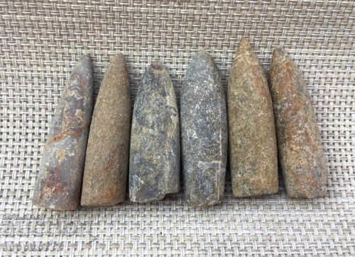 Delivery of natural marine fossils Delivery of natural marine fossils