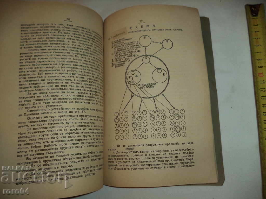 MEASURES FOR RECOVERY, IMPROVEMENT AND LIFE OF BIRTH - 5