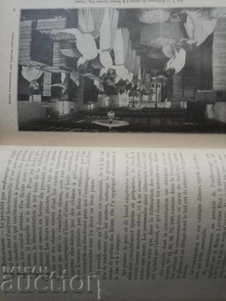 Les parfums. An old perfume book - 7 Les parfums. An old perfume book - 7