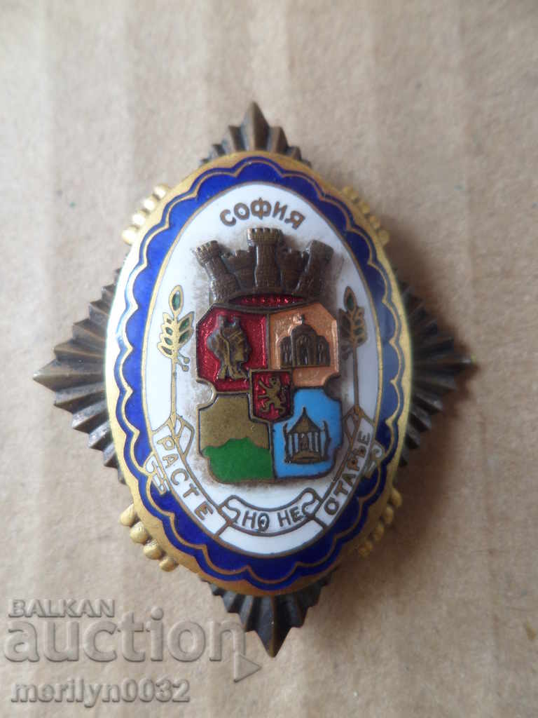 King's sign Sofia Grows But does not get an enamel badge - 5 King's sign Sofia Grows But does not get an enamel badge - 5