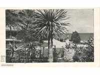 Пощенска картичка - Варна, Изглед от морската градина