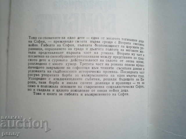 Auction BOMBITE - VERA MUTAFCHIEVA Auction BOMBITE - VERA MUTAFCHIEVA