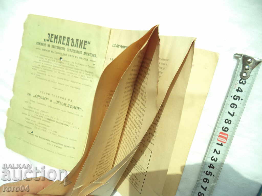 Auction Watching and Feeding of Swine - ASEN GEORGIEV - 1910 Auction Watching and Feeding of Swine - ASEN GEORGIEV - 1910