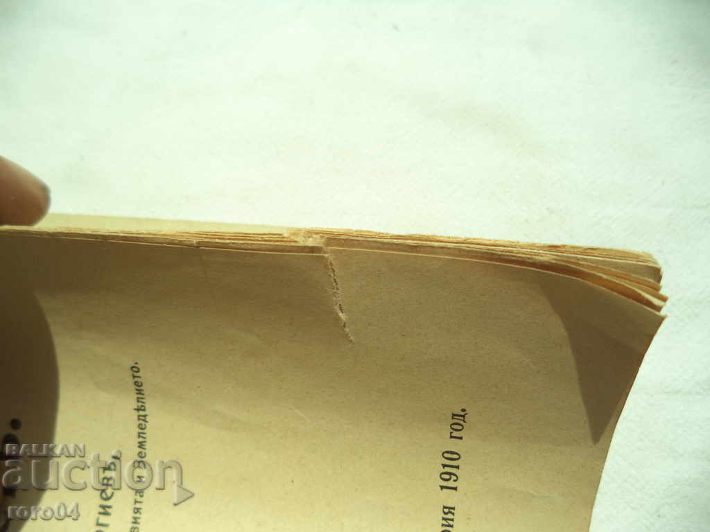 Delivery of Watching and Feeding of Swine - ASEN GEORGIEV - 1910 Delivery of Watching and Feeding of Swine - ASEN GEORGIEV - 1910