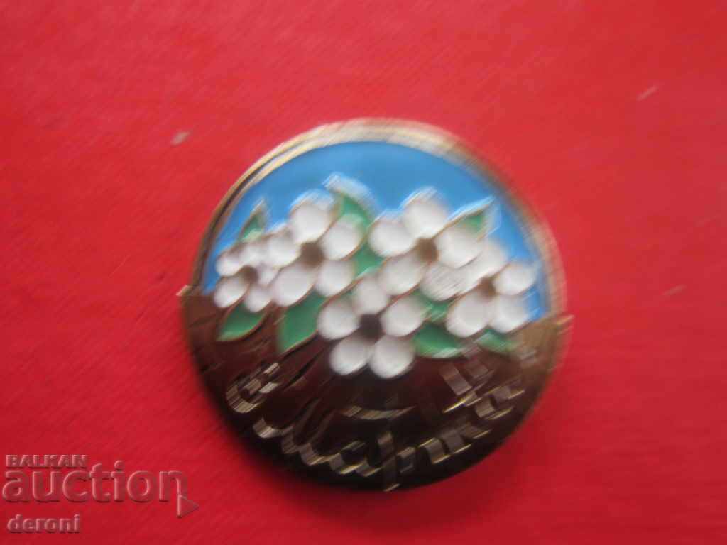 A rare big Russian badge March 8 with price 3.00 BGN | € 1.53 A rare big Russian badge March 8 with price 3.00 BGN | € 1.53