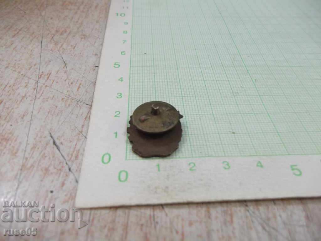 Auction  DSNM badge old