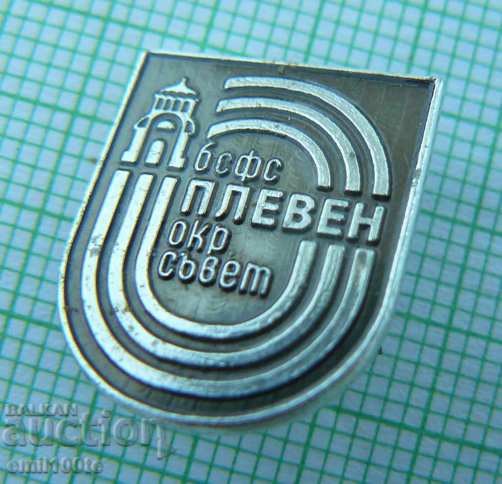 Auction  Pin-BSF Pleven District Council