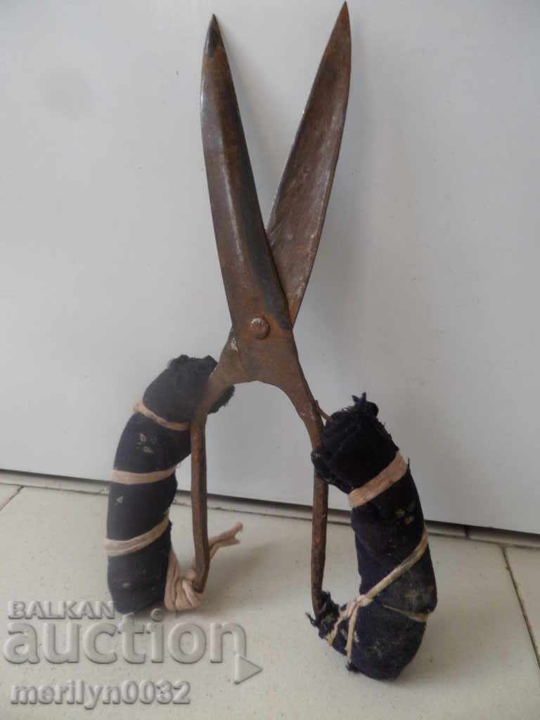 Forged scissors old scissors with price 42.00 BGN | € 21.47 Forged scissors old scissors with price 42.00 BGN | € 21.47