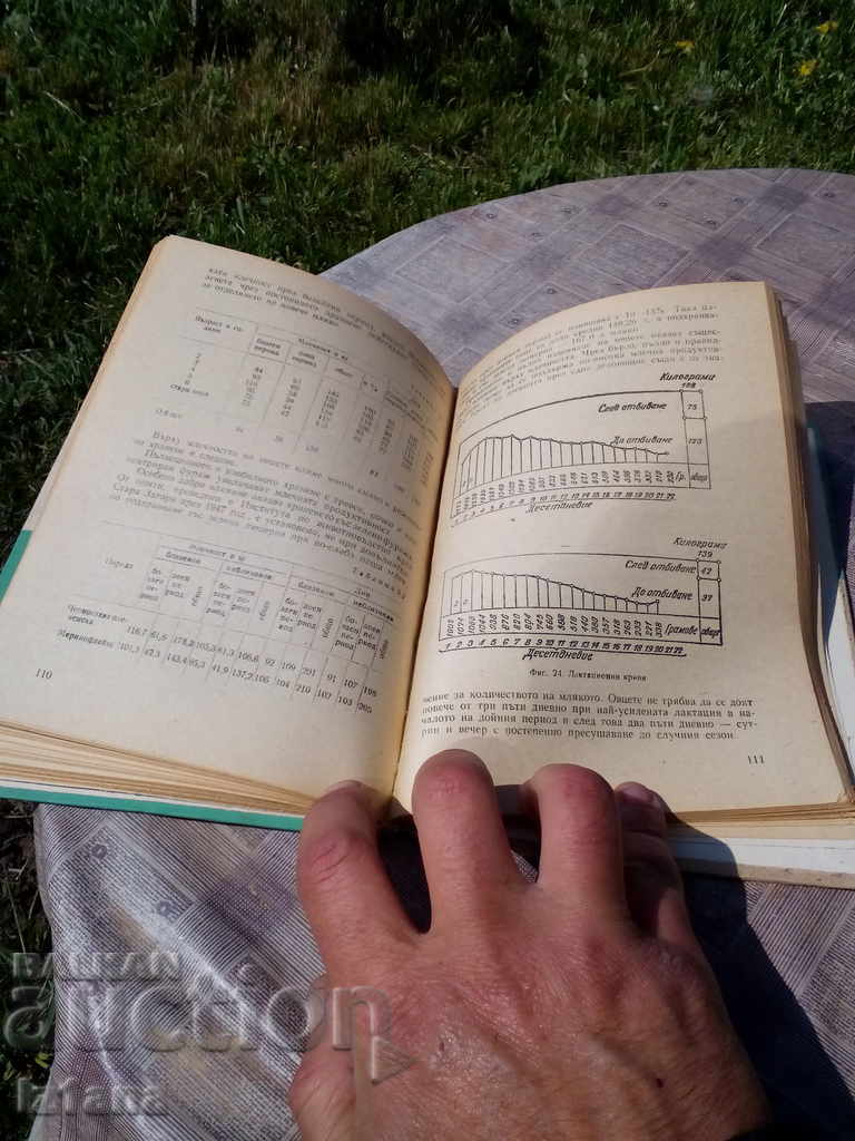 Auction Book Controlling the Performance of SS Animals Auction Book Controlling the Performance of SS Animals
