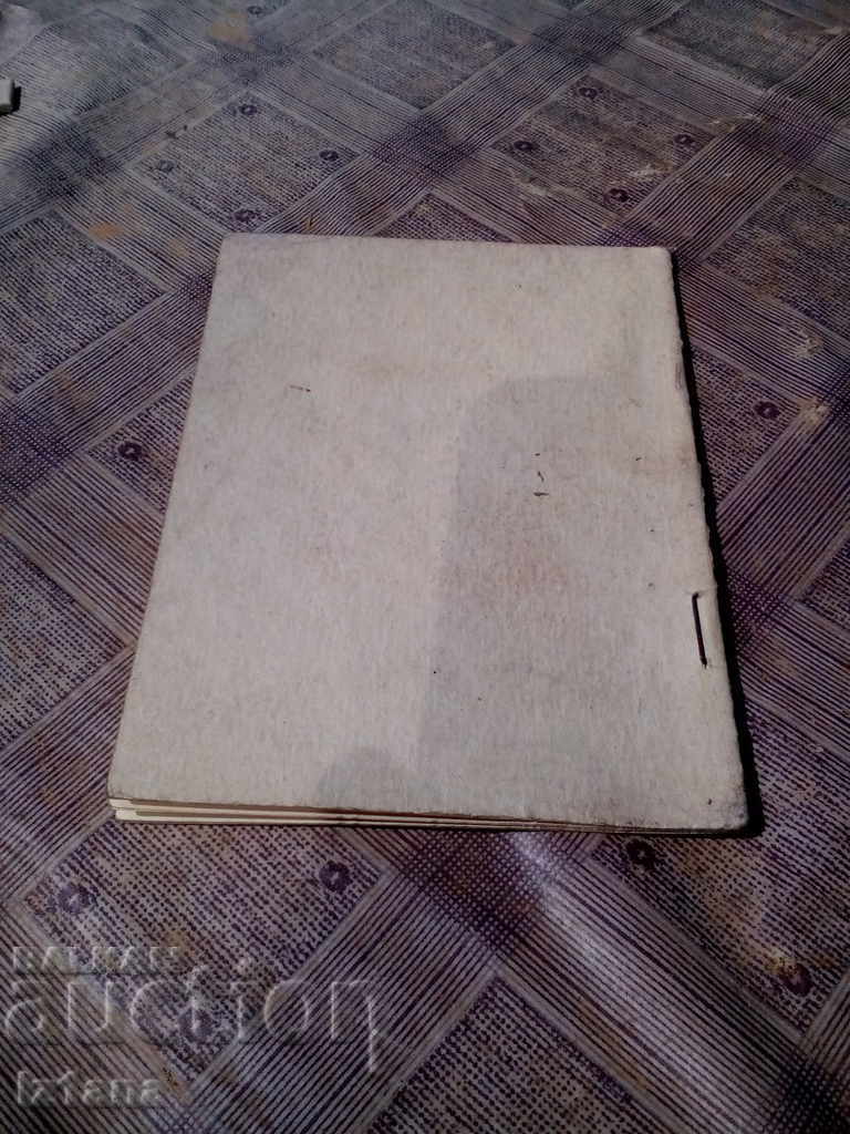 Δημοπρασία Οδηγίες για μέτρα σε φυτά με νέον Δημοπρασία Οδηγίες για μέτρα σε φυτά με νέον