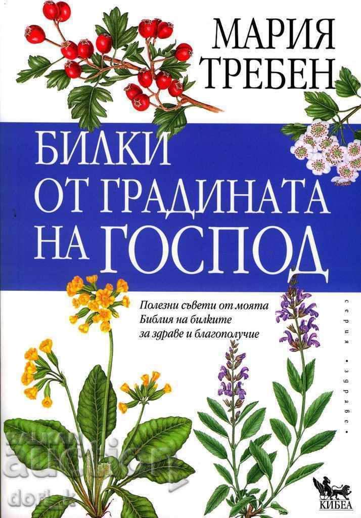 Herbs from Lord's Garden Herbs from Lord's Garden