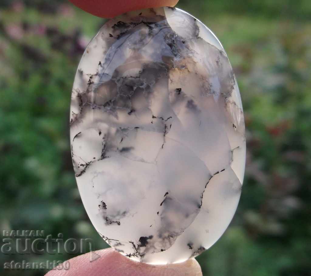 Natural Dendritic Opal -Australia-45,60 ct.