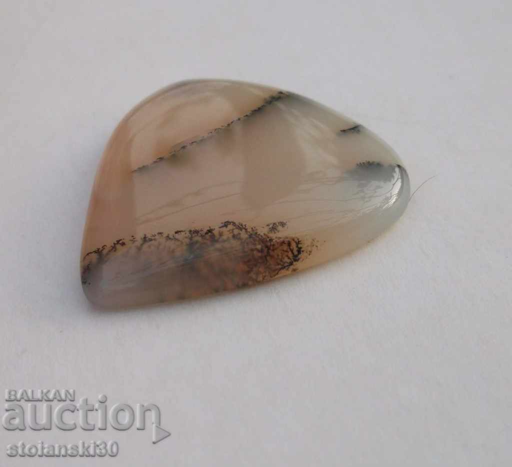 Φυσικό Dendrite Opal-Αυστραλία-25.00 ct.