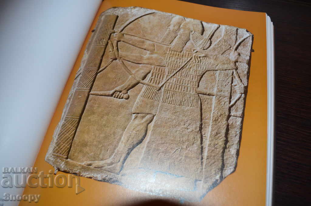 Hermitage - LUXURIOUS EDITION - 5 Hermitage - LUXURIOUS EDITION - 5