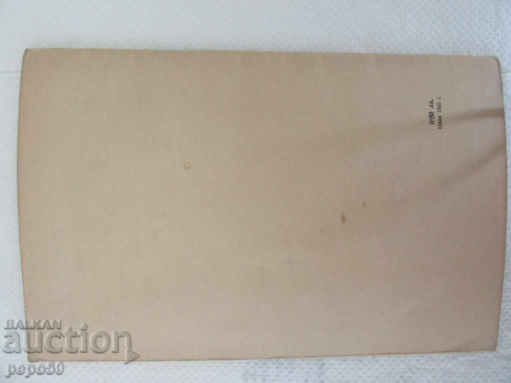 Auction  DIMITROV KOMMOMOL IN THE COMBATING COMBATING - 1958