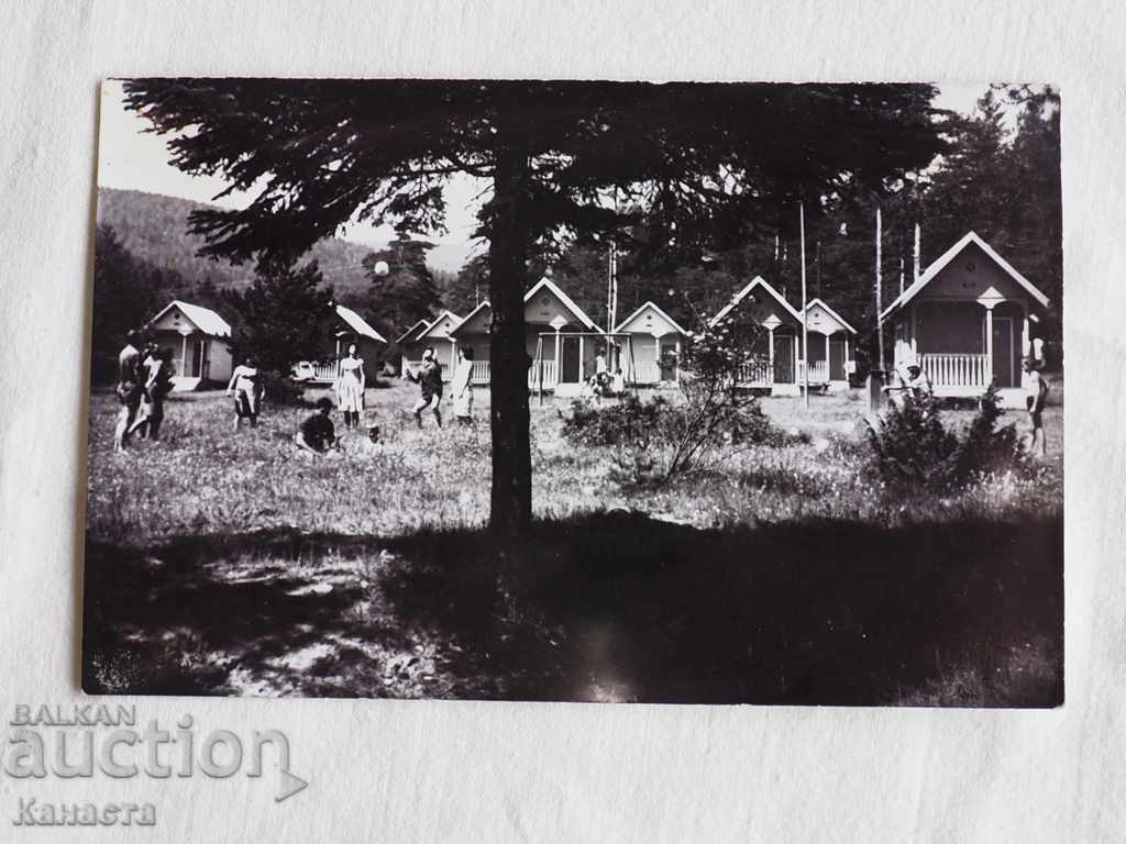 Bungalows in the Rhodope Mountains 1966 К 147