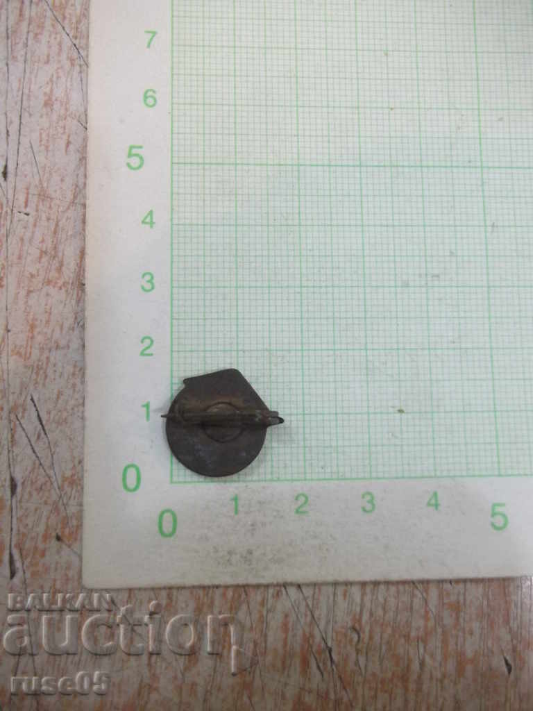 Badge "PROGRESUL" Romanian with price 5.00 BGN | € 2.56 Badge "PROGRESUL" Romanian with price 5.00 BGN | € 2.56