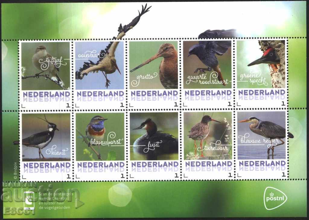 Καθαρίστε τα σήματα ένα μικρό φύλλο Πανίδα Πουλιά 2017 από την Ολλανδία