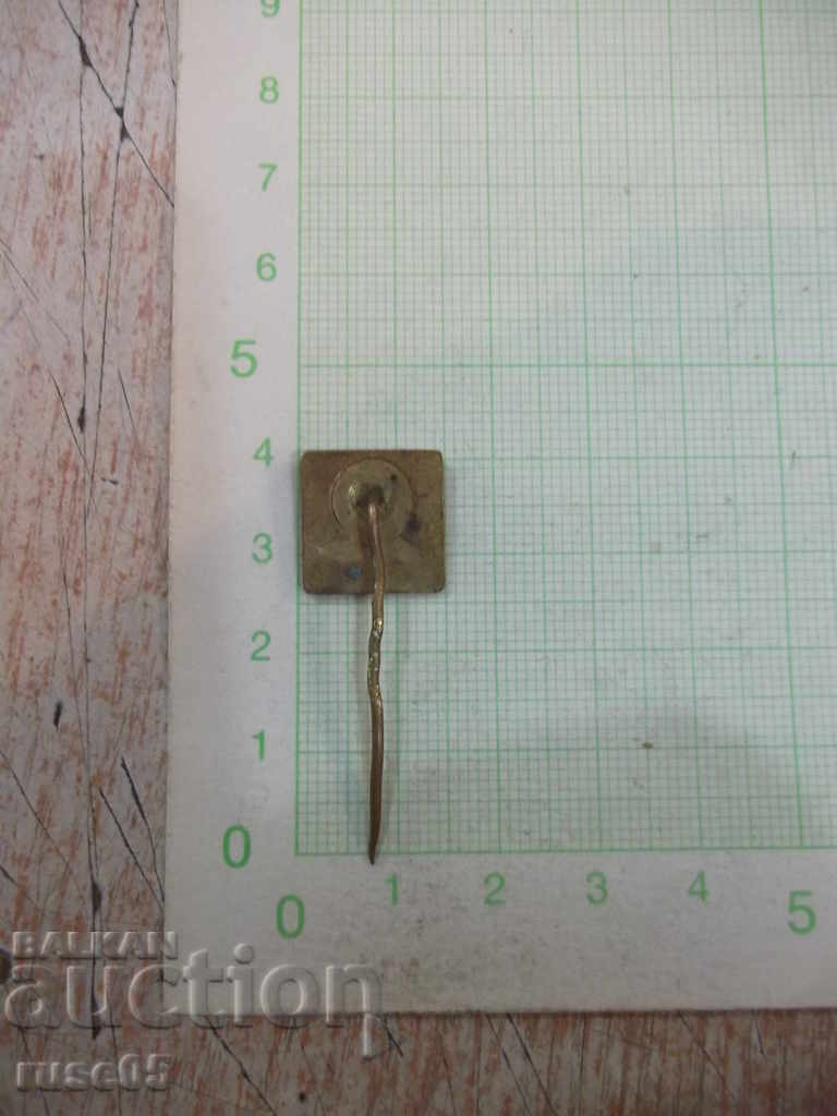 Badge "BRNO 1959" Czechoslovak with price 3.00 BGN | € 1.53 Badge "BRNO 1959" Czechoslovak with price 3.00 BGN | € 1.53