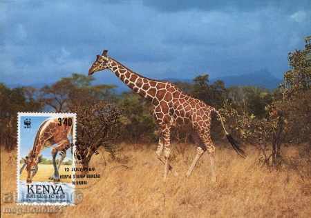 WWF Kenya 1989 giraffe - cards max with price 10.00 BGN | € 5.11