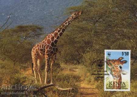 Delivery of WWF Kenya 1989 giraffe - cards max
