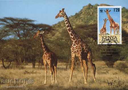 WWF Kenya 1989 giraffe - cards max
