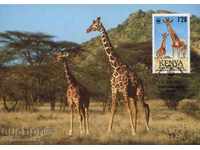 WWF Кения 1989 жираф - карти максимум