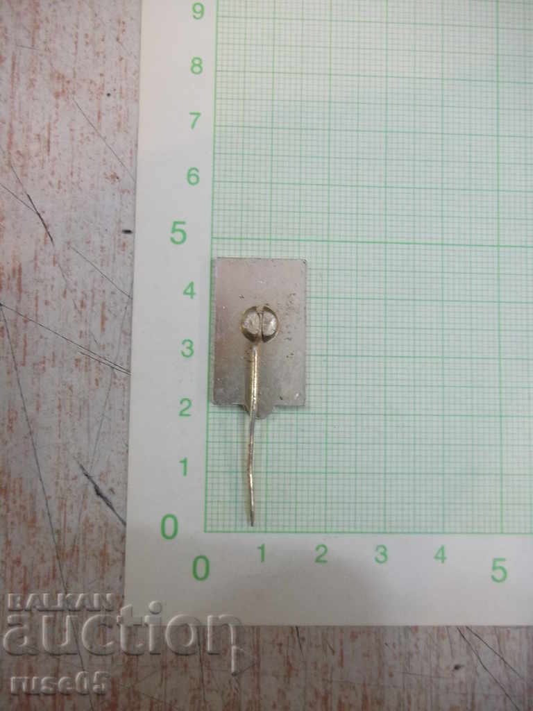 Badge "VI IUS Kongress-Baghdad-October 8-17 1960" with price 15.00 BGN | € 7.67 Badge "VI IUS Kongress-Baghdad-October 8-17 1960" with price 15.00 BGN | € 7.67