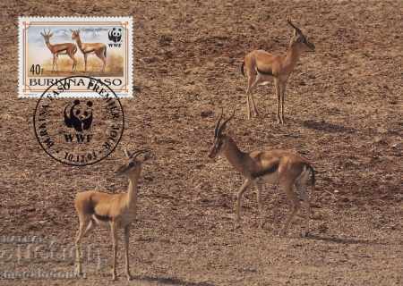 WWF card set maximum Burkina Faso1993 with price 10.00 BGN | € 5.11 WWF card set maximum Burkina Faso1993 with price 10.00 BGN | € 5.11