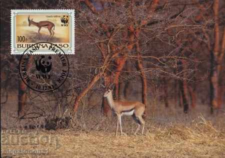 Auction WWF card set maximum Burkina Faso1993 Auction WWF card set maximum Burkina Faso1993