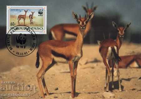 Delivery of WWF card set maximum Burkina Faso1993 Delivery of WWF card set maximum Burkina Faso1993