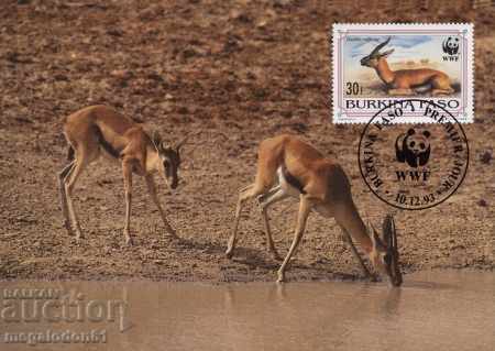 WWF комплект карти максимум Буркина Фасо1993