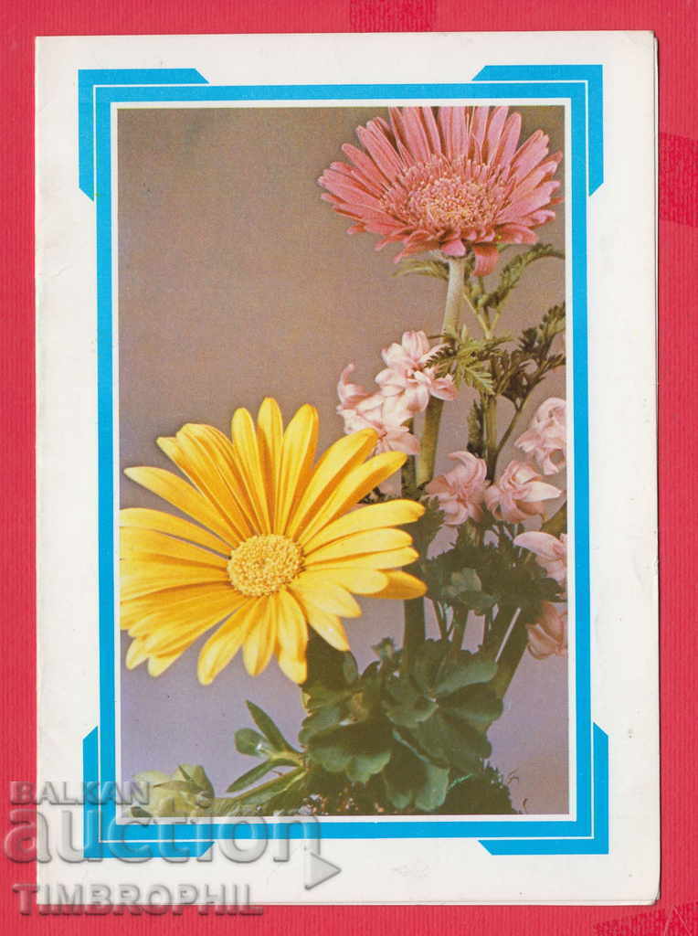 Auction 234058 / STARA ZAGORA 1989 CONCERT JUBILEE KATYA POPOVA Auction 234058 / STARA ZAGORA 1989 CONCERT JUBILEE KATYA POPOVA