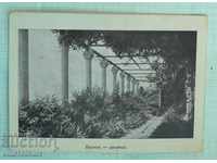 Postcard - Balchik Palace 1949