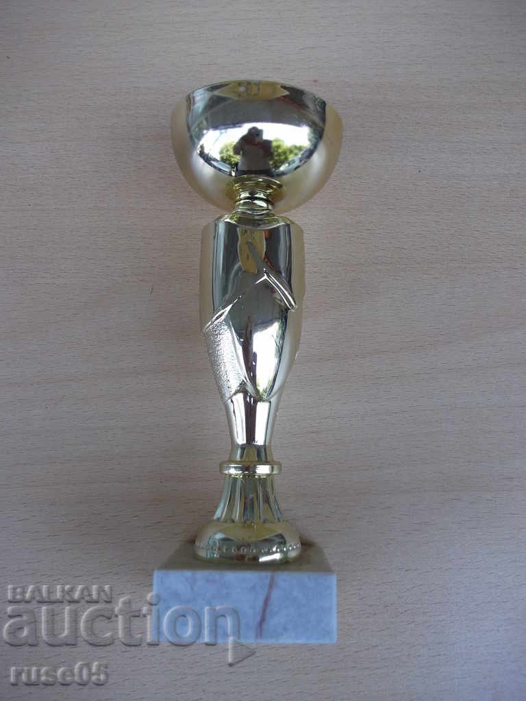 Cup With a map Tarnovgrad-WRE V place 21.03.2015 " - 5