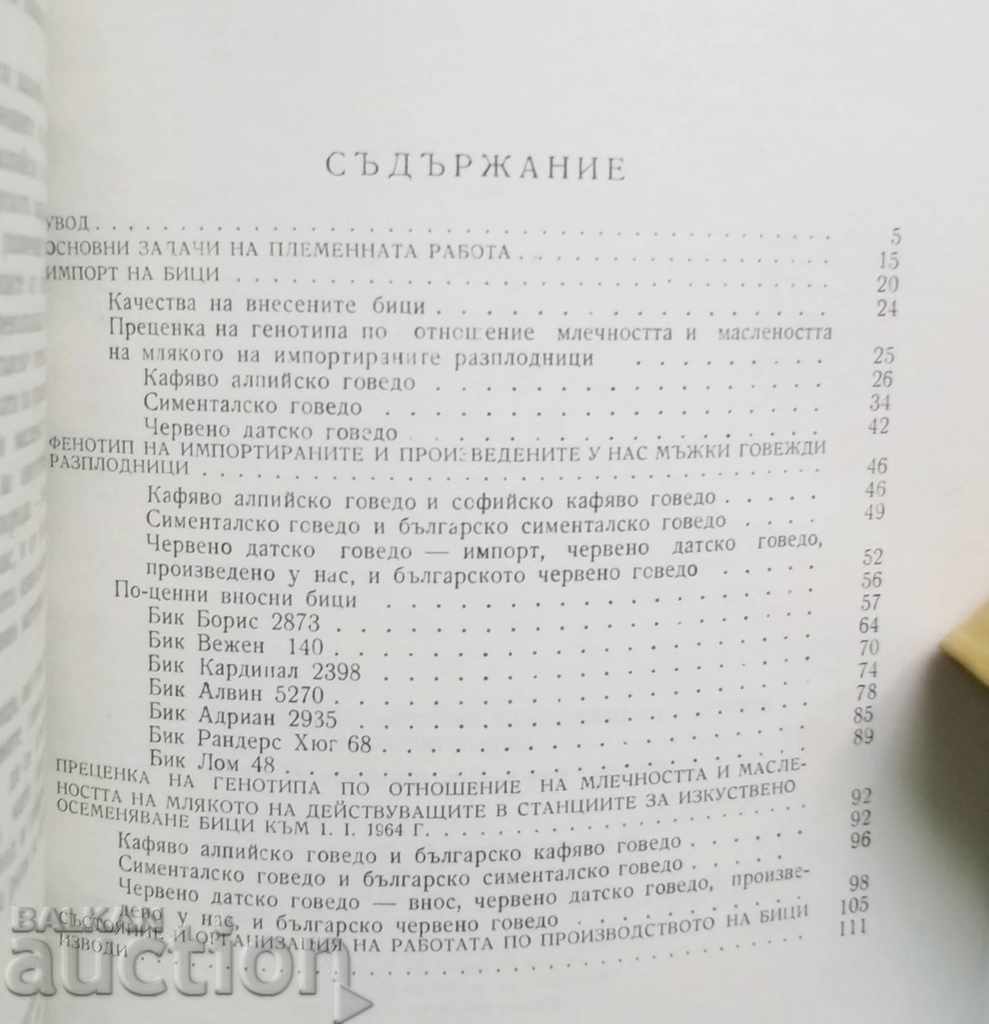 Auction Assessing the tribal qualities of imported bulls ... Auction Assessing the tribal qualities of imported bulls ...