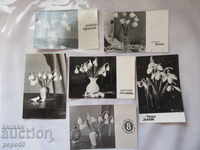 6 STAR BULGARIAN BLACK WHITE CARDS FROM SOCIAL TIME