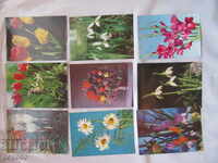 9 BULGARIAN CARDS OF SOCIAL TIME