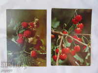 2 BULGARIAN CARDS FROM THE SOCIAL TIME