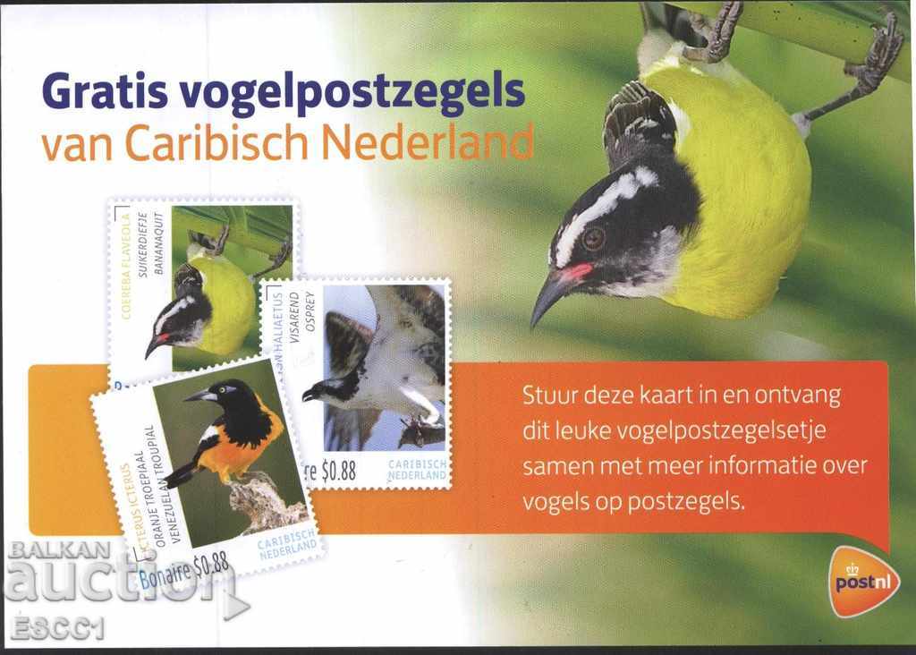 Рекламна Пощенска картичка Марки Птици от Холандия