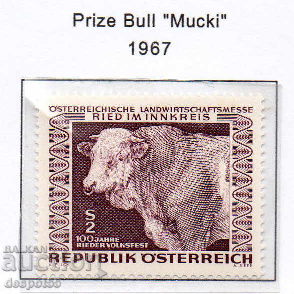 1967. Austria. 100-year-old animal fair - award-winning bull.