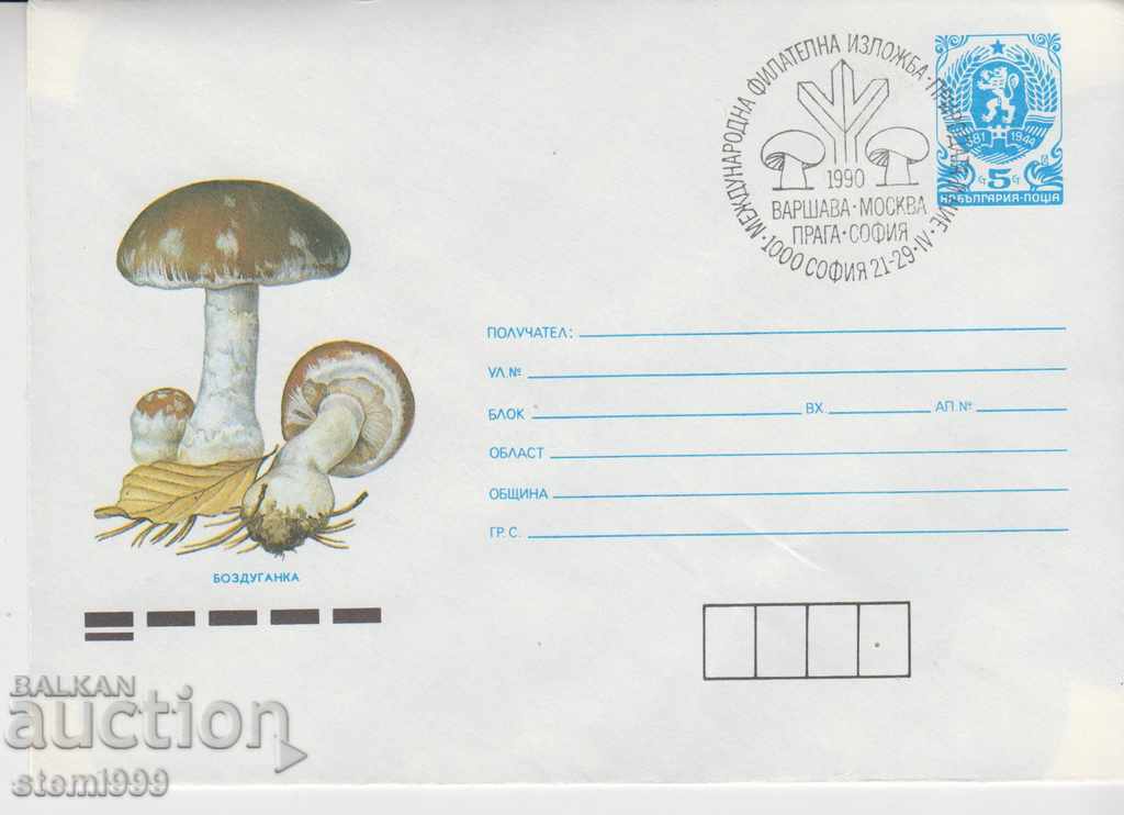 Envelope Mushrooms