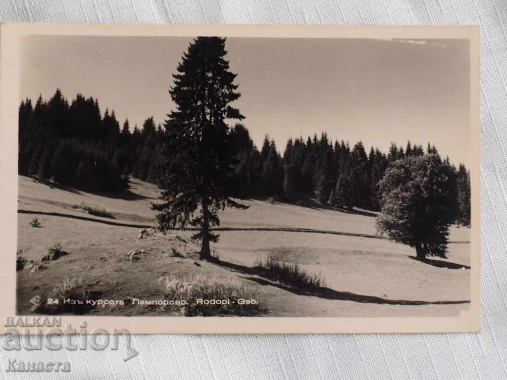 Pamporovo forest view Paskov 1940 K 157