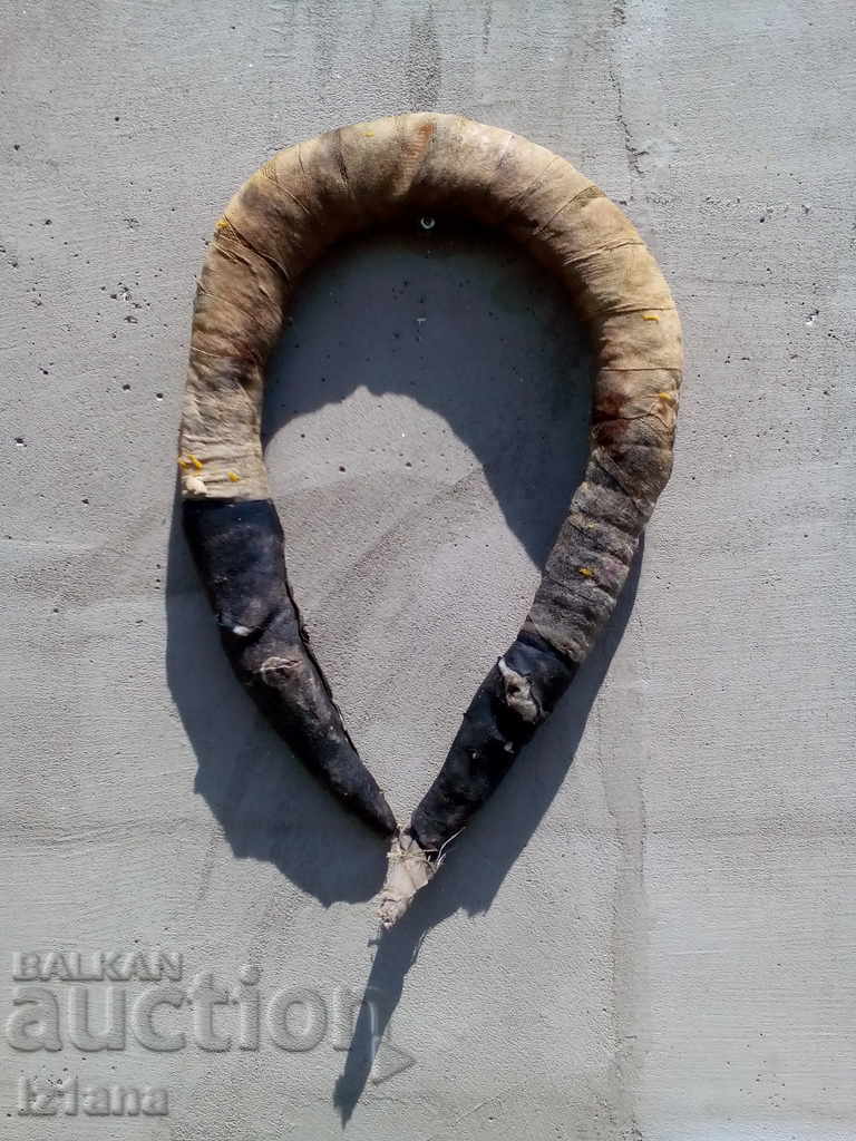 ΧΑΜΜΟΥΤ, ΧΑΝΓΚΕΡ με τιμή 35.00 BGN | € 17.90 ΧΑΜΜΟΥΤ, ΧΑΝΓΚΕΡ με τιμή 35.00 BGN | € 17.90