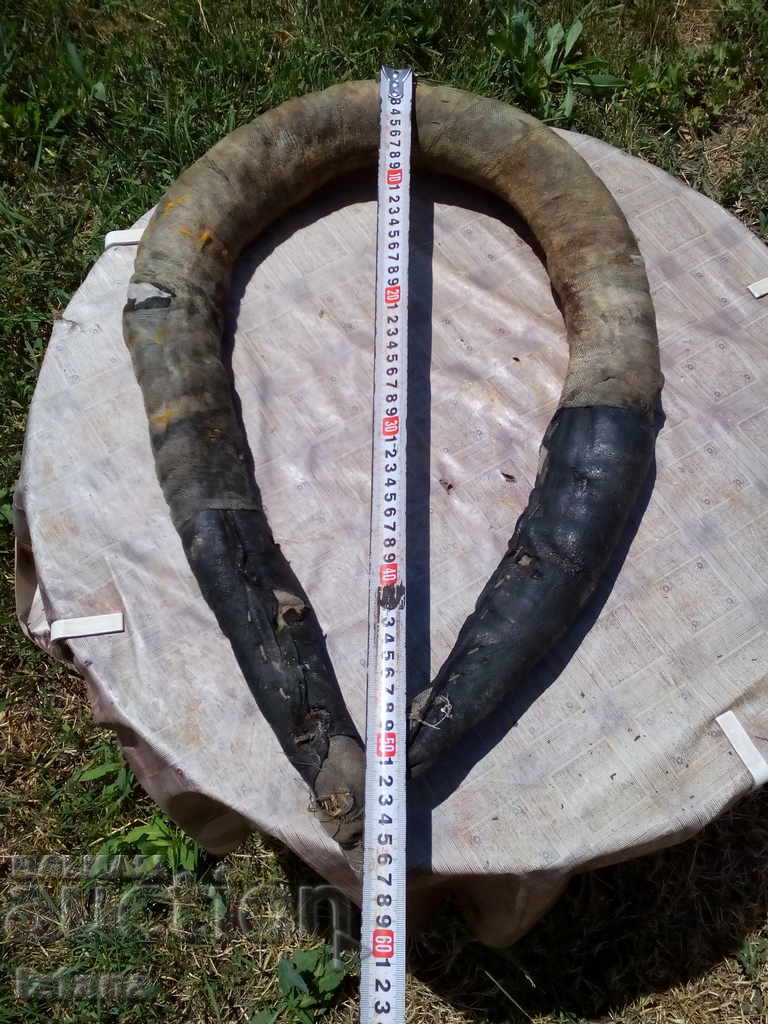 Δημοπρασία ΧΑΜΜΟΥΤ, ΧΑΝΓΚΕΡ Δημοπρασία ΧΑΜΜΟΥΤ, ΧΑΝΓΚΕΡ