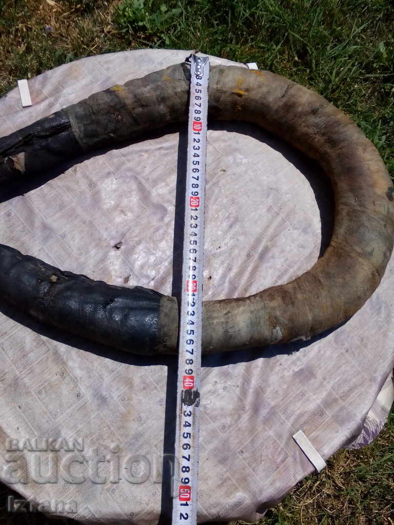 Παράδοση ΧΑΜΜΟΥΤ, ΧΑΝΓΚΕΡ Παράδοση ΧΑΜΜΟΥΤ, ΧΑΝΓΚΕΡ