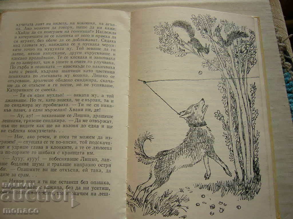 Доставка на Книга - Домашен слон, Ст. Ц. Даскалов - разкази Доставка на Книга - Домашен слон, Ст. Ц. Даскалов - разкази