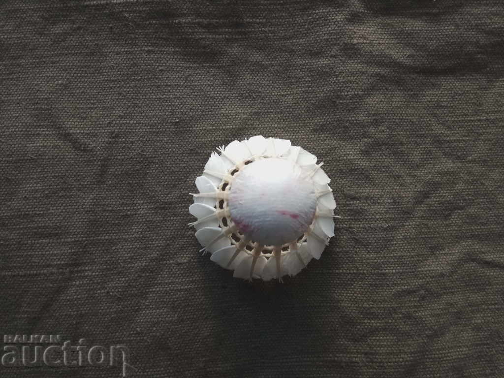 Badminton collector feather - feather with price 20.00 BGN | € 10.23 Badminton collector feather - feather with price 20.00 BGN | € 10.23